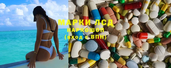 трава Арсеньев
