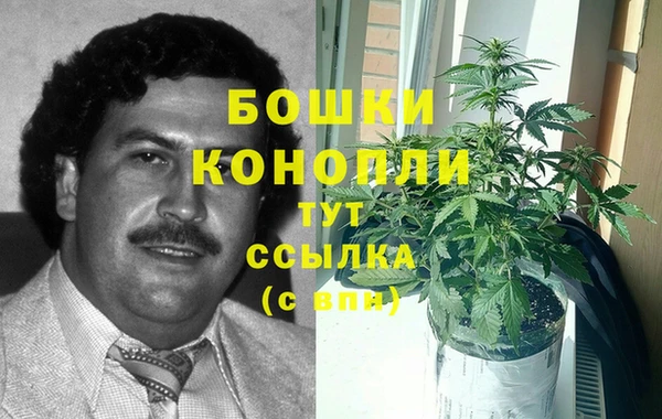трава Арсеньев