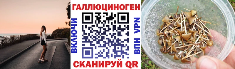Купить  Верхняя Салда  Псилоцибиновые грибы мицелий 